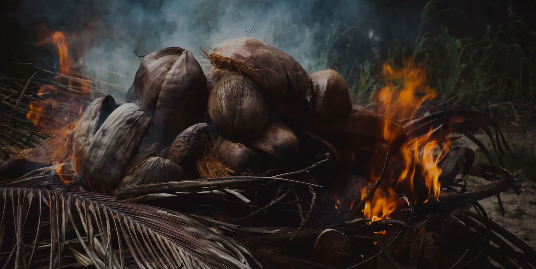 Pile of coconut husks